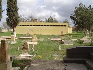 TELAGH LE CIMETIERE 25